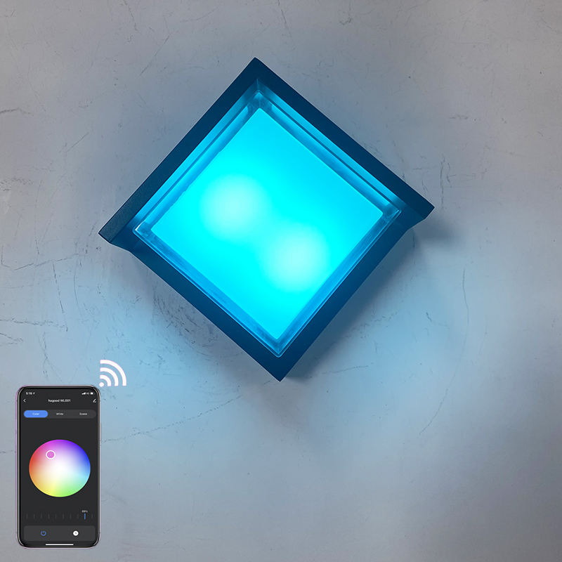 Transparente Schale 9W APP-Beleuchtung Acryl wasserdichte IP65-LED-Wandleuchte für Gartendekoration mit Wohnzimmerbeleuchtung zum Fabrikpreis