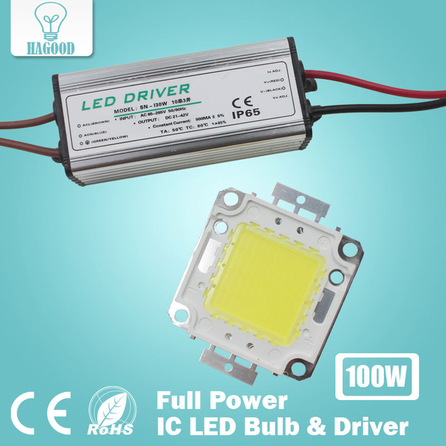 Echte volle Watt 10 W 20 W 30 W 50 W 100 W High Power COB LED Lampe Chips Birne mit LED-Treiber für DIY Flutlicht Spot Licht Rasen