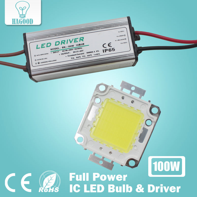 Echte volle Watt 10 W 20 W 30 W 50 W 100 W High Power COB LED Lampe Chips Birne mit LED-Treiber für DIY Flutlicht Spot Licht Rasen