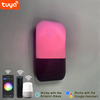 9W Tuya APP-Steuerung Wandleuchte LED-Licht App-Steuerung App-Steuerung Licht App-gesteuerte LED-Leuchten Rainbow Bean Wandleuchte Intelligente Wandleuchte