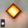 Minimalismus-Stil Tuya Smart WiFi LED Wandleuchte 10W RGBW Outdoor Indoor APP Wasserdichte Wandleuchte Dimmbare Gartenleuchte