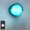 2023 Tuya APP Hochwertige Außenleuchte Wifi Wasserdichte Wandleuchte Farbwechsel durch Smart App Lamp