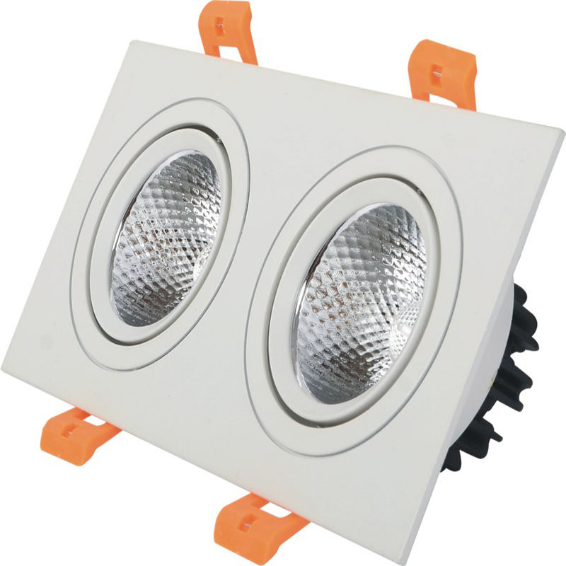 Doppelköpfe LED-Downlight LED-Deckenstrahler Eingebettetes Downlight 10W 14W 20W 24W Downlight