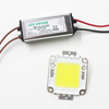 Echte volle Watt 10 W 20 W 30 W 50 W 100 W High Power COB LED Lampe Chips Birne mit LED-Treiber für DIY Flutlicht Spot Licht Rasen