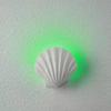 2023 Tropischer Stil RGB 5W Muschel wasserdichte Außenwandleuchte Kleine Gangwandleuchte für Gartenhofdekoration