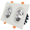 Doppelköpfe LED-Downlight LED-Deckenstrahler Eingebettetes Downlight 10W 14W 20W 24W Downlight
