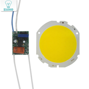 LED COB Lampe Perle 10 W-30 W Lichtquelle Chip Kalt/Warm Schalter Umwandlung mit Segment Control Power Adapter DIY Fahrer