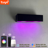 9W Smart Wandleuchte, App-gesteuertes LED-Licht, App-gesteuerte Beleuchtung, mobil, TUYA APP-Steuerung, LED-Wandleuchte, wasserdichte rechteckige Außenwandleuchte