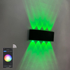 2023 Interior Design Fancy Luxury Black Garden Crystal Dekorative LED-Deckenlampe Pendelleuchte Wohnzimmerbeleuchtung