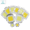 Super 10W 20W 30W 50W 100W LED Integrierte Hochleistungs-LED-Lampe Weiß/Warmweiß EPISTAR COB Chips LED-Lampen