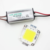 Echte volle Watt 10 W 20 W 30 W 50 W 100 W High Power COB LED Lampe Chips Birne mit LED-Treiber für DIY Flutlicht Spot Licht Rasen