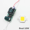 Echte volle Watt 10 W 20 W 30 W 50 W 100 W High Power COB LED Lampe Chips Birne mit LED-Treiber für DIY Flutlicht Spot Licht Rasen