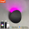 9W Wandleuchte, intelligente Lampe, LED-Außenwandleuchte, Tuya-App-Steuerung, Wandleuchte für den Außenbereich, wasserdicht, einstellbares Licht, einstellbare Farbe