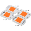 Hochleistungs-Vollspektrum-LED-Wachstumschip 20 W, 30 W, 50 W für die Wachstumsbeleuchtung von Zimmerpflanzen