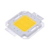 Echte volle Watt 10 W 20 W 30 W 50 W 100 W High Power COB LED Lampe Chips Birne mit LED-Treiber für DIY Flutlicht Spot Licht Rasen