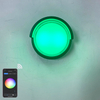 2023 Tuya APP Hochwertige Außenleuchte Wifi Wasserdichte Wandleuchte Farbwechsel durch Smart App Lamp