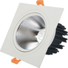 Doppelköpfe LED-Downlight LED-Deckenstrahler Eingebettetes Downlight 10W 14W 20W 24W Downlight