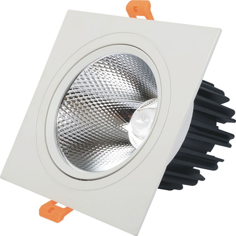 Doppelköpfe LED-Downlight LED-Deckenstrahler Eingebettetes Downlight 10W 14W 20W 24W Downlight