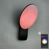 9W Smart Wandleuchte Intelligente Lampen LED-Licht App-Steuerung LED-Licht App-Steuerung App-gesteuerte Beleuchtung Tuya App Außenwandleuchte Handy-Fernbedienung Wandleuchte