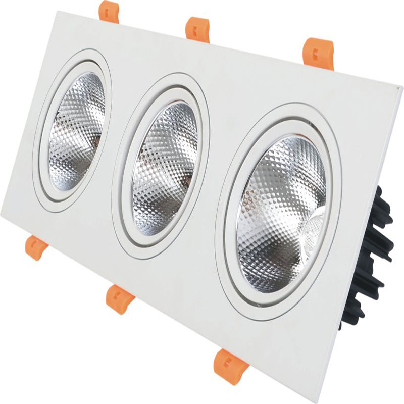 Doppelköpfe LED-Downlight LED-Deckenstrahler Eingebettetes Downlight 10W 14W 20W 24W Downlight