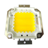 Echte volle Watt 10 W 20 W 30 W 50 W 100 W High Power COB LED Lampe Chips Birne mit LED-Treiber für DIY Flutlicht Spot Licht Rasen