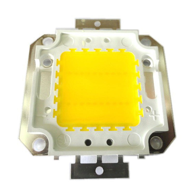 Echte volle Watt 10 W 20 W 30 W 50 W 100 W High Power COB LED Lampe Chips Birne mit LED-Treiber für DIY Flutlicht Spot Licht Rasen
