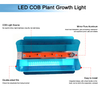 LED-Wachstumslichter 20 W 30 W 50 W 80 W UV-LED-Pflanzenwachstumslicht Vollspektrum AC110 V/220 V/DC12 V für den Innenanbau
